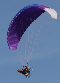 jojo wings for paramotoring